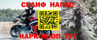 PSILOCYBIN Севастополь