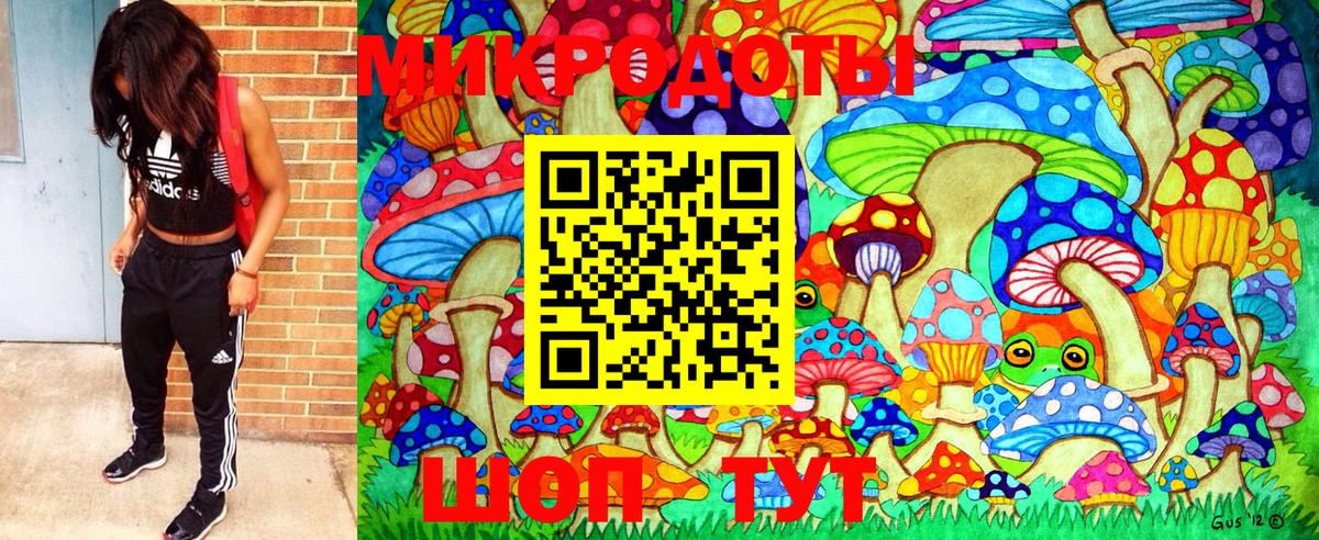 Ревда  Галлюциногенные грибы Cubensis  Вход с VPN 